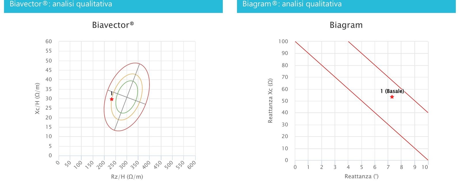 Esempio reale di grafico Biavector e Biagram da un referto di bioimpedenziometria professionale